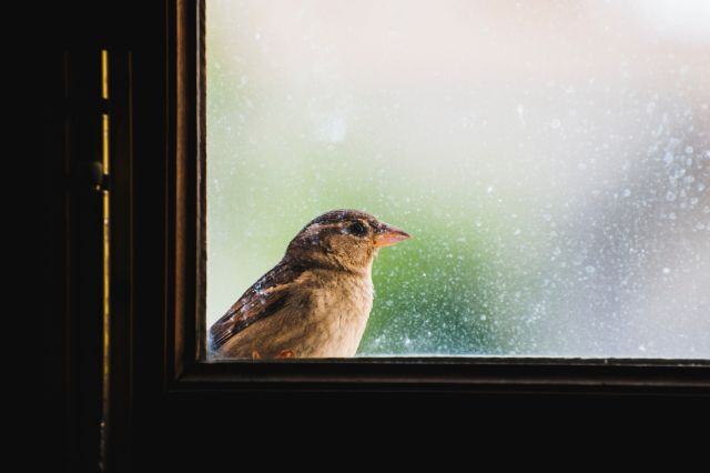 AdobeStock_352670766_640x426