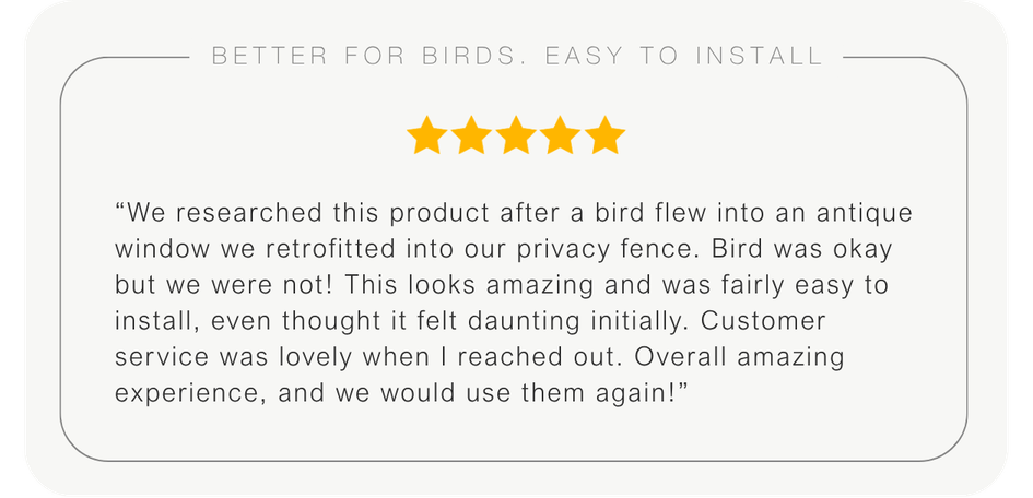 Bird Safety Film Five Star Review